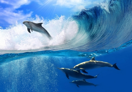 Постер (плакат) Дельфины в море