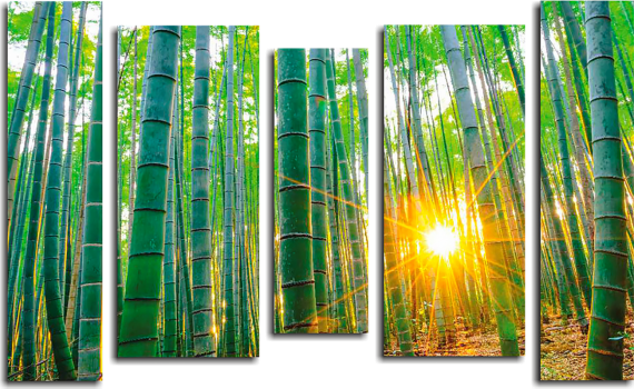 Модульная картина Бамбук и солнце