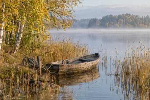 Постер Лодка у камышей