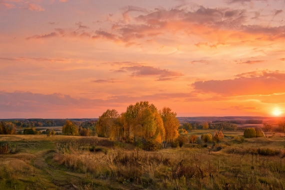 Постер Тёплый горизонт