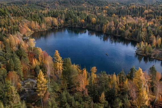 Постер Золото на излучине