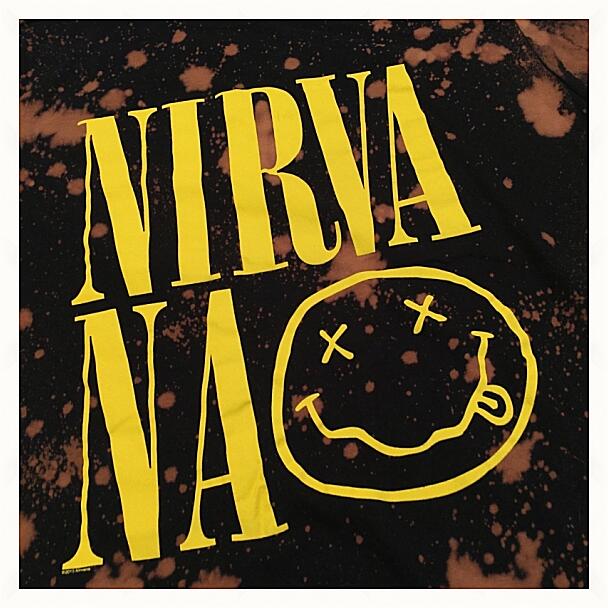 Картина - Nirvana Logo