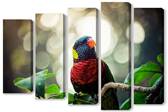 Модульная картина - Лори