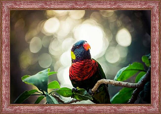 Картина - Лори