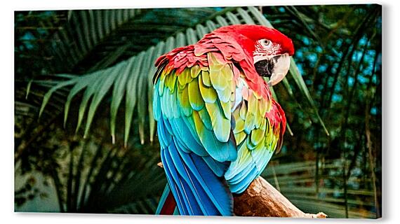Картина маслом - Попугай Ара разноцветный