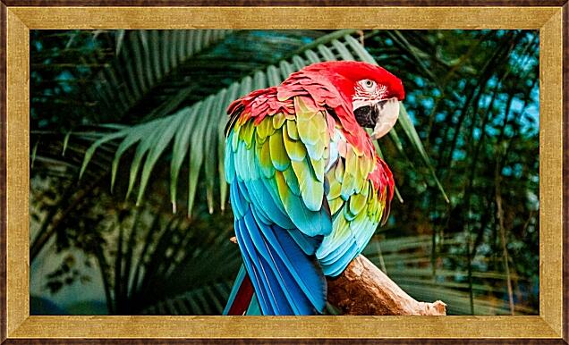 Картина - Попугай Ара разноцветный