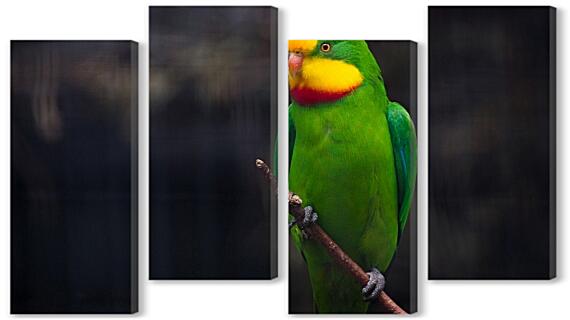 Модульная картина - Роскошный баррабандов попугай