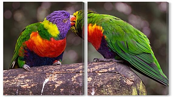 Модульная картина - Яркие попугайчики
