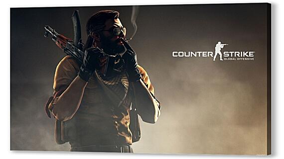 Counter-Strike CS Go
