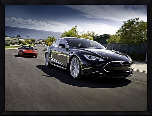 Картина - Tesla Racing