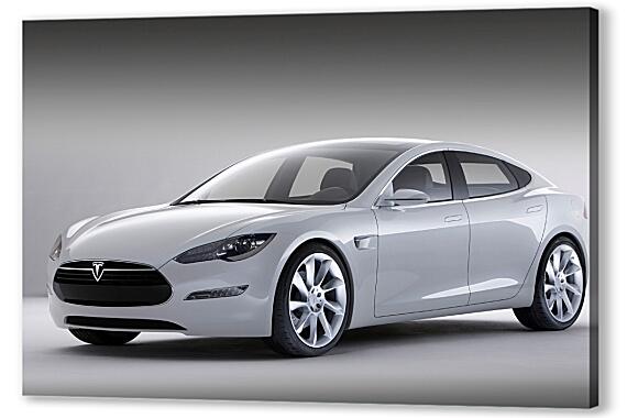 Картина маслом - Tesla S White