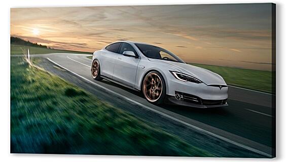 Tesla S