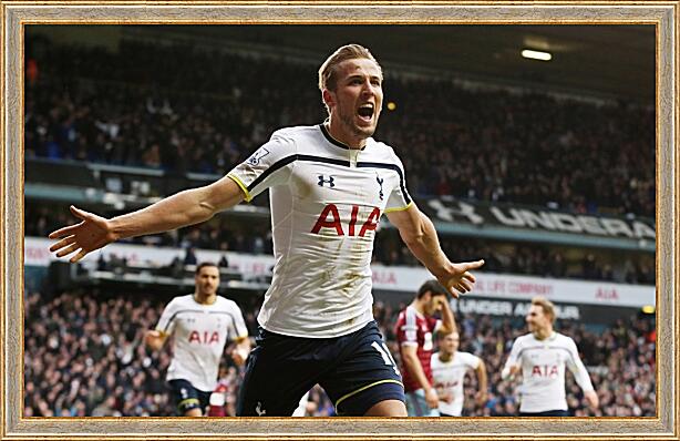 Картина - Харри Кейн празднует гол