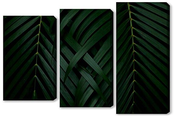 Модульная картина - Листья пальмы