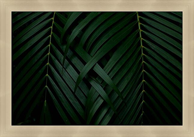 Картина - Листья пальмы