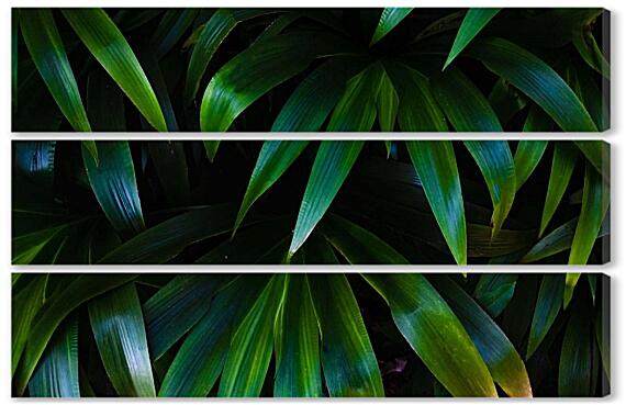 Модульная картина - Бамбуковая пальма