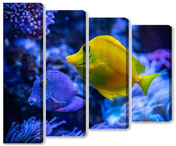 Модульная картина - Аквариумная рыбка Зебрасома