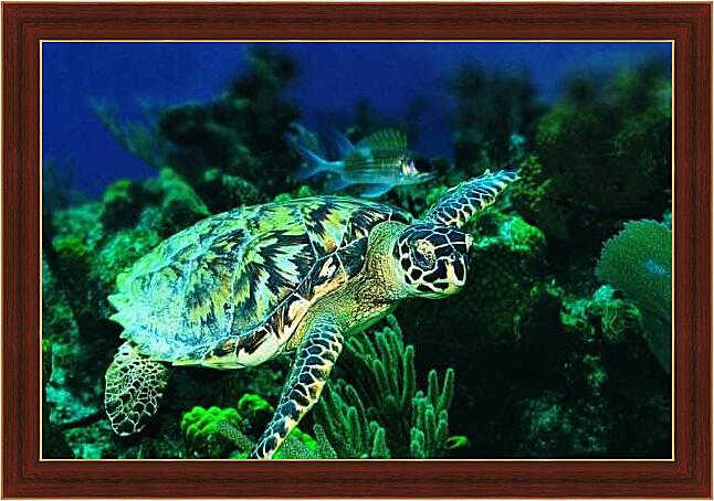 Картина - Зеленая морская черепаха