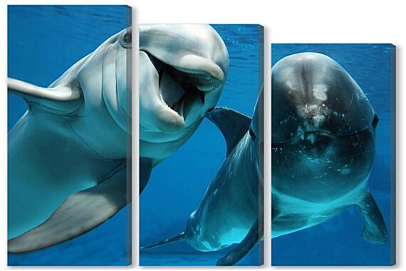 Модульная картина - Белый дельфин