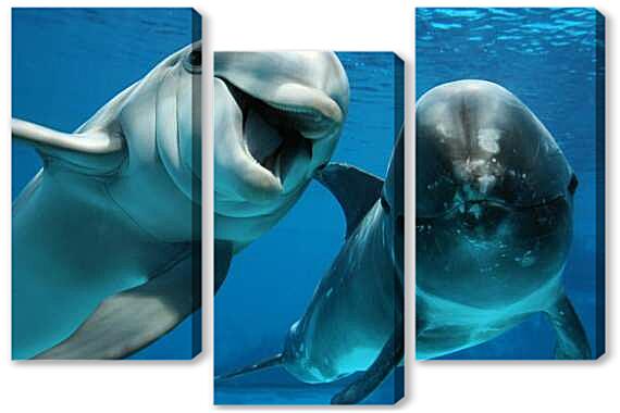 Модульная картина - Белый дельфин