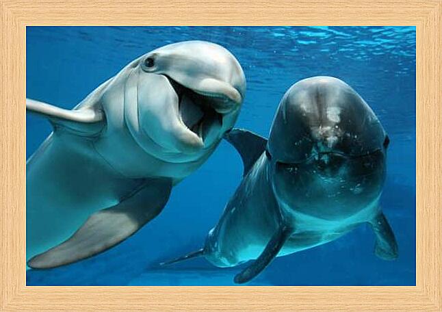 Картина - Белый дельфин