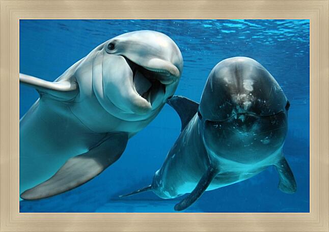 Картина - Белый дельфин