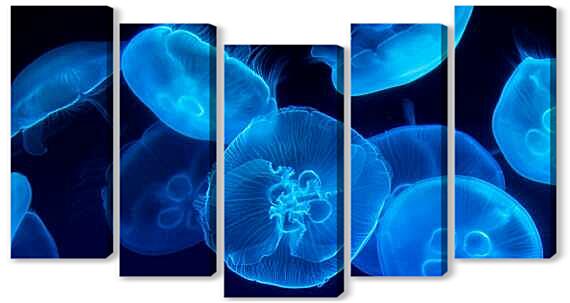 Модульная картина - Дискомедузы