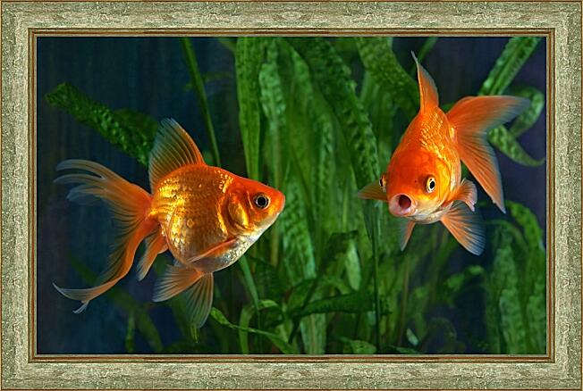 Картина - Золотая рыбка