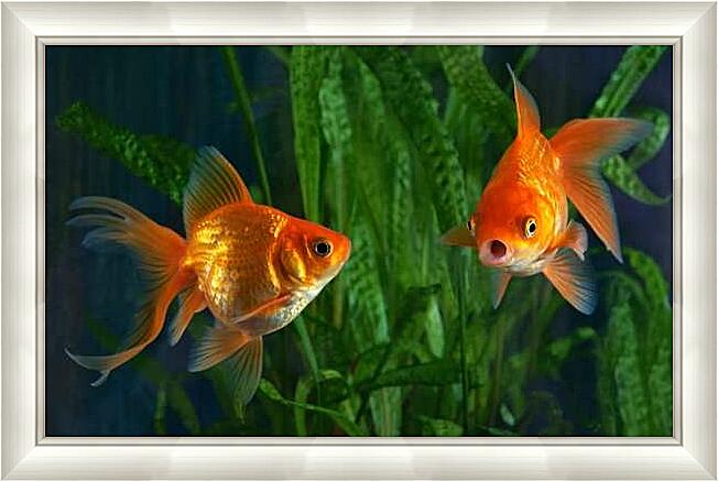 Картина - Золотая рыбка