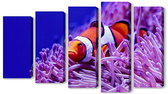 Модульная картина - Коралловый риф и рыба клоун