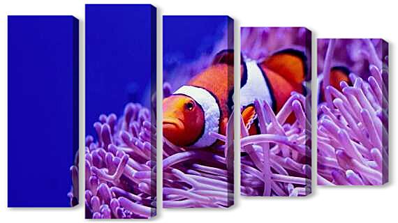 Модульная картина - Коралловый риф и рыба клоун