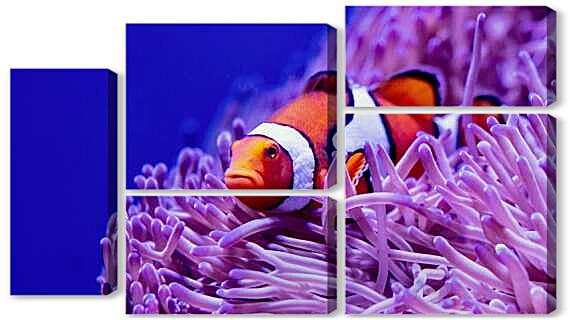 Модульная картина - Коралловый риф и рыба клоун