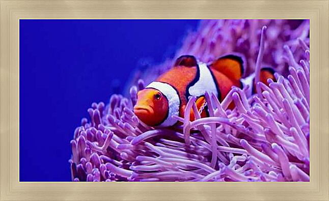 Картина - Коралловый риф и рыба клоун