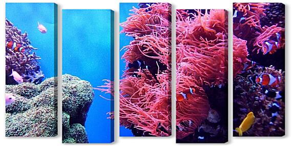 Модульная картина - Коралловый риф