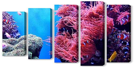 Модульная картина - Коралловый риф