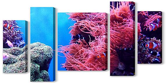 Модульная картина - Коралловый риф