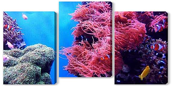 Модульная картина - Коралловый риф