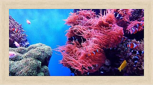 Картина - Коралловый риф