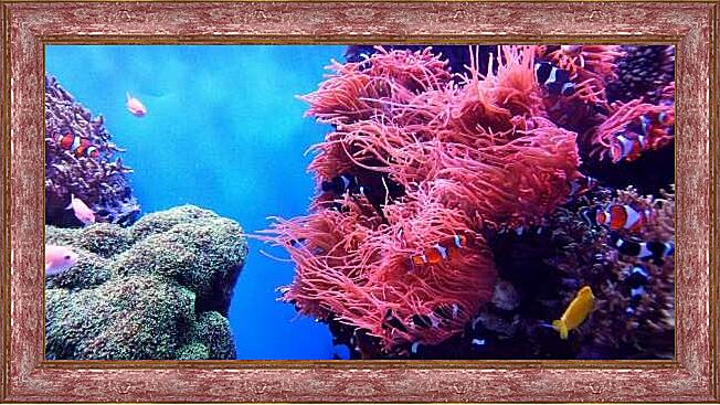 Картина - Коралловый риф