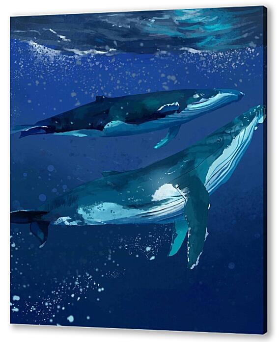 Постер (плакат) - Любовь китов
