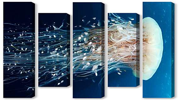 Модульная картина - Медуза цианея