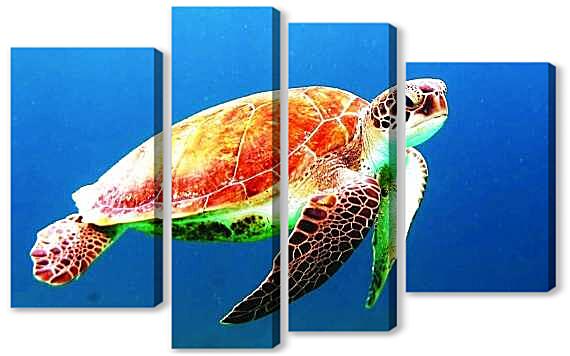 Модульная картина - Морская черепаха