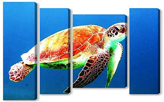 Модульная картина - Морская черепаха