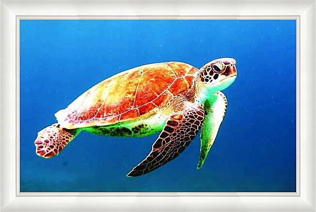 Картина - Морская черепаха