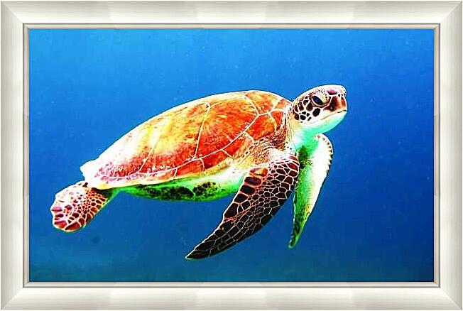 Картина - Морская черепаха