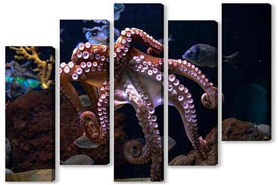 Модульная картина - Осьминог