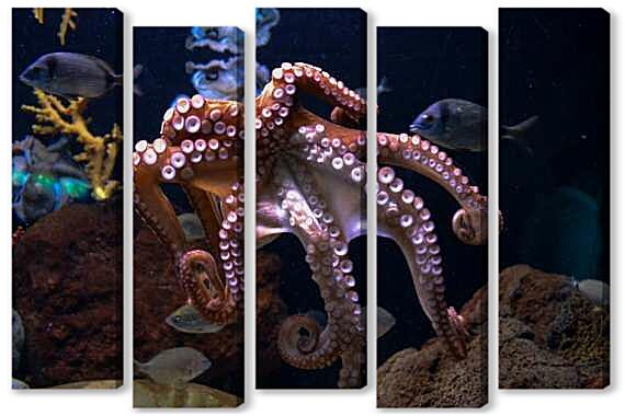 Модульная картина - Осьминог
