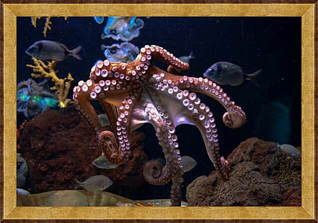 Картина - Осьминог