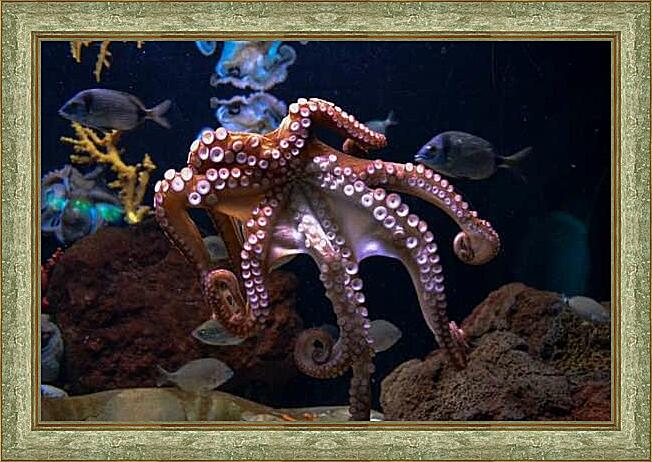 Картина - Осьминог