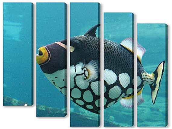 Модульная картина - Пятнистый спинорог